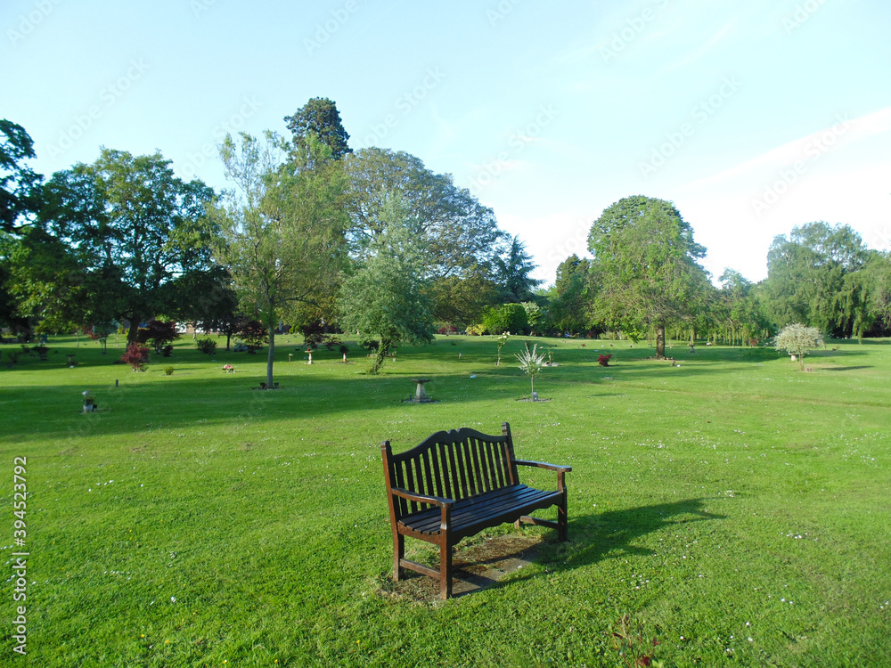 Fototapeta premium bench in the park