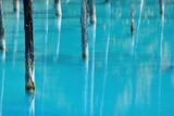 美瑛ブルーに染まる白金青い池と枯れ木のコラボ情景＠北海道