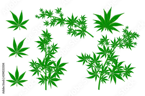 Marijuana hemp pot cannabis leaf vector set. Green medical or drugs hempen leaves like grass.