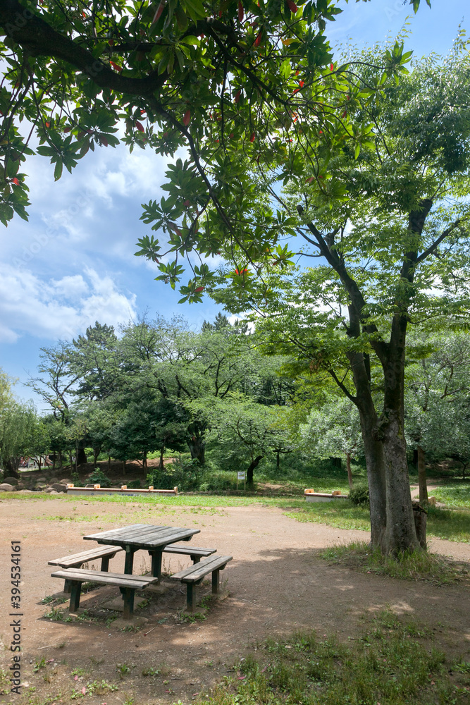 梶ケ谷第1公園（神奈川県川崎市高津区）