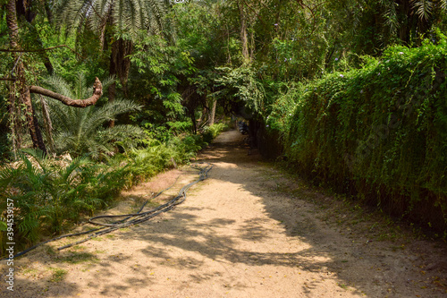 Dirty Dry Road Pathway in Autumn Season Background