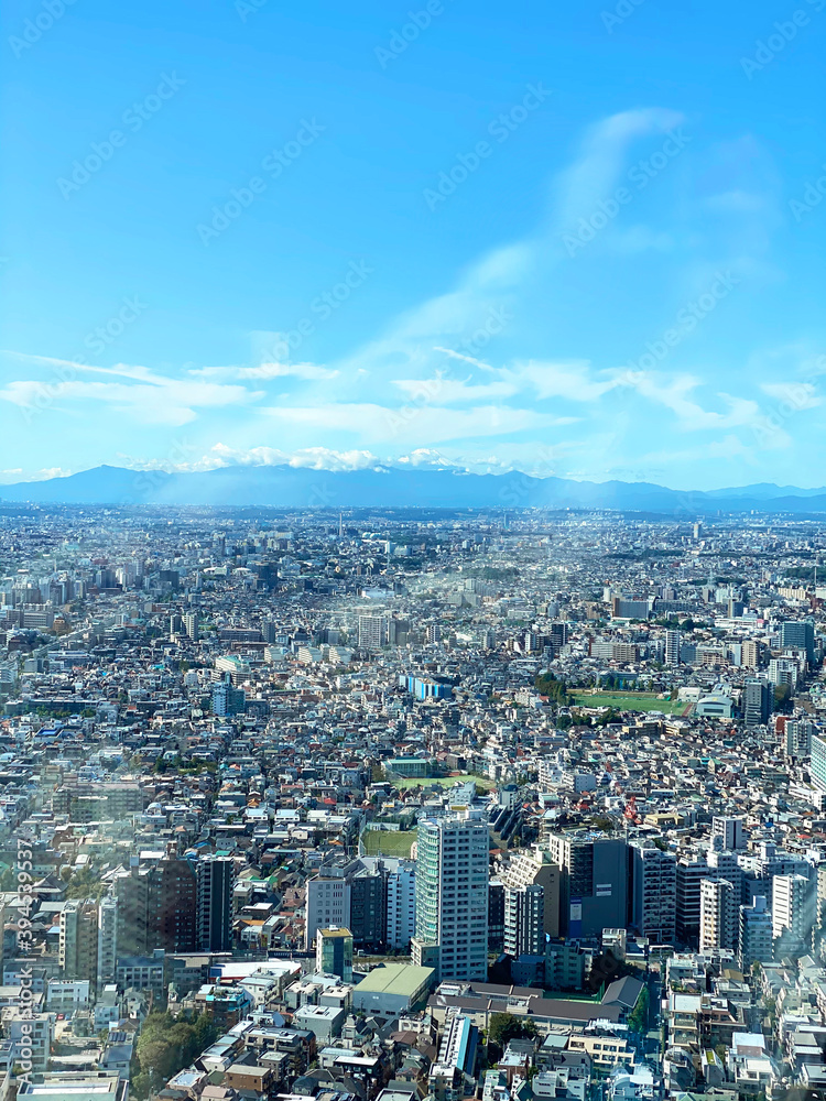 Fototapeta premium Fuji Mount