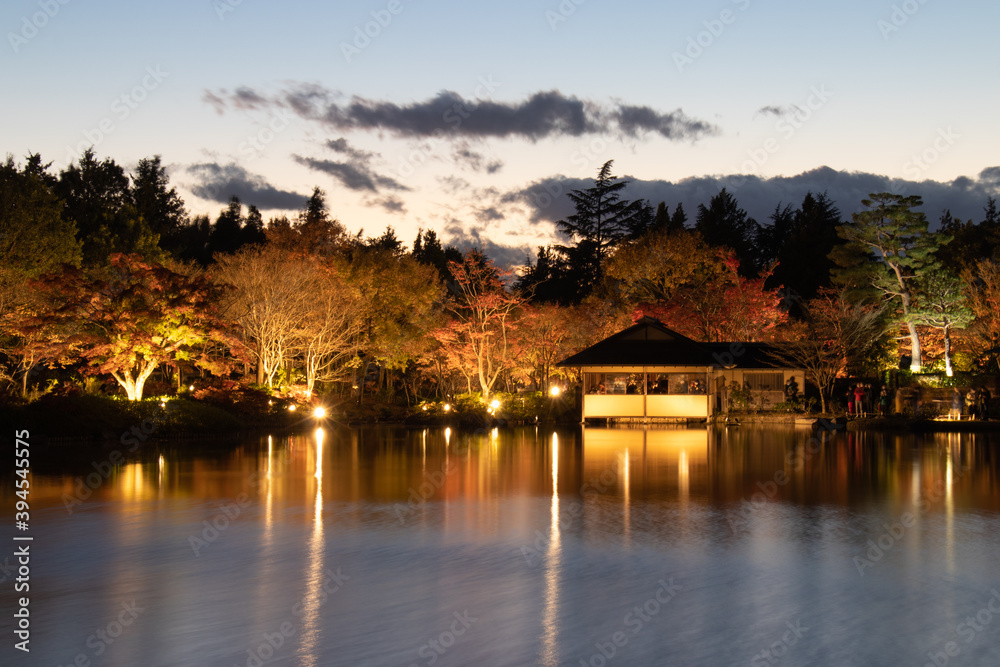 Fototapeta premium ライトアップされた日本庭園