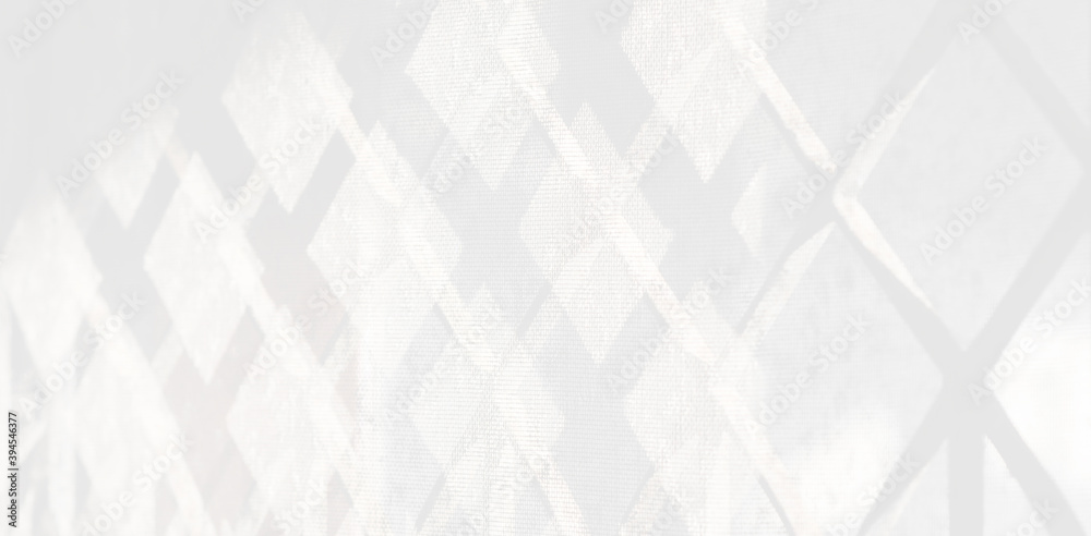 Fototapeta premium Abstract Shadow. blur background. gray leaves that reflect concrete walls on a white wall surface for blurred backgrounds and monochrome wallpapers.