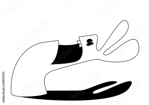 Hase