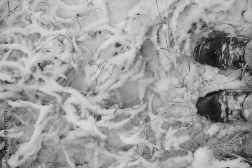 Male boots with jeans. Feet of men standing on grass. Grass partically covered with snow. wintwer season. top view. photo