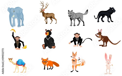 Set of cartoon animals on different poses, isolated on white vector illustration