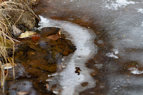 Real natural backround: thawing on the lake, fallen leaves, dry grass under water and ice.