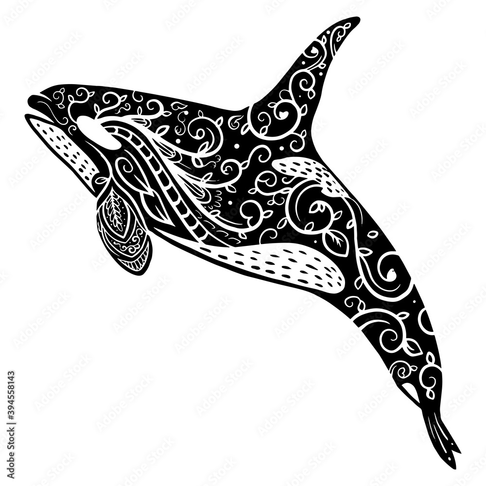 Hand drawn of orca or killer whale zentangle arts . vector illustration - obrazy, fototapety, plakaty 