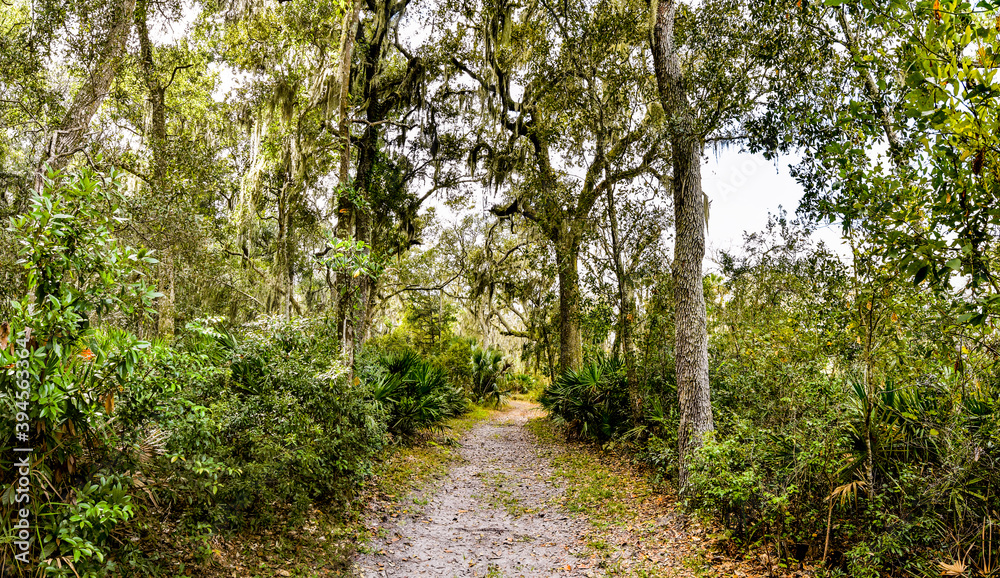 Timicuan Ecological and Historic Preserve trails