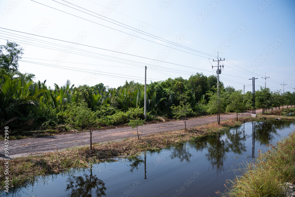 Obraz premium View of local road made from gravel with a ditch alongside, many electric poles on the road, feeling of rural atmosphere