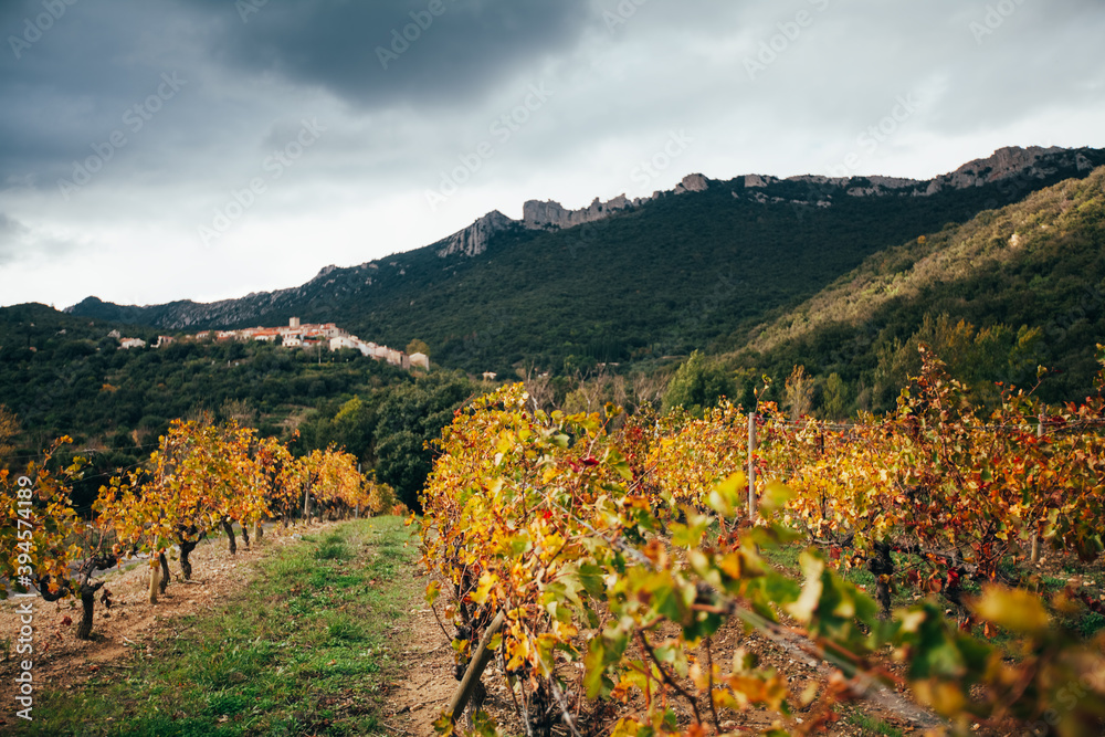 Local vineyards, Duilhac-sous-Peyrepertuse and the Peyrepertuse Cathar castle