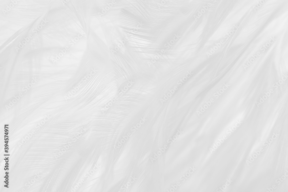 white feather wooly pattern texture background