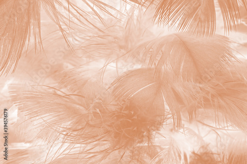 Beautiful brown feather texture pattern background