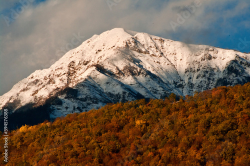 snow covered mountains