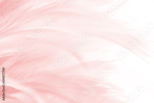 Beautiful soft pink feather pattern texture background