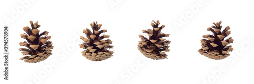 Christmas pine cone isolated on white background. Christmas and New Year holiday concept photo.
