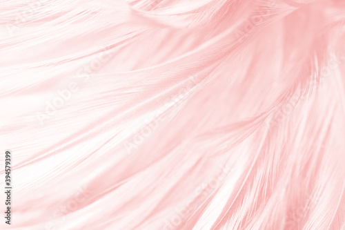 Beautiful light pink feather pattern texture background