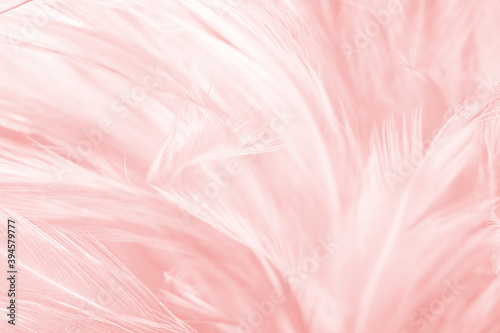 Beautiful light pink feather pattern texture background