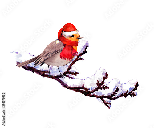 Robin bird in red santa hat, scarf on branch with snow. Winter watercolor