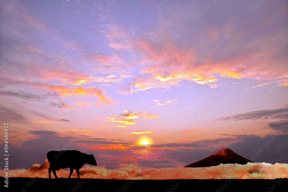 オレンジの空を背景に高原の牧場を歩む牛のシルエット