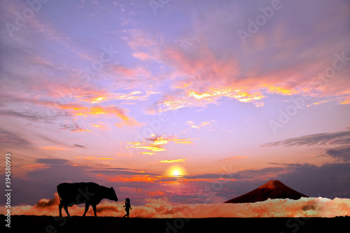 オレンジの空を背景に草原の牧場で牛を曳く少女のシルエット © chikala