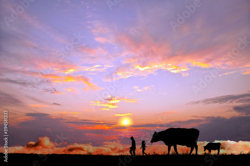 オレンジの空を背景に草原の牧場で牛を曳く老人と少女のシルエット © chikala