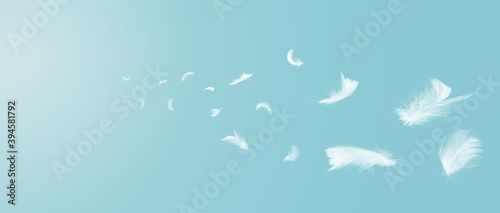 White feathers floating in the sky with sunlight. free space .