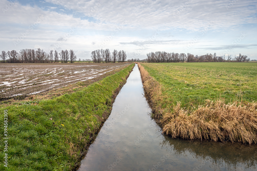 A meadow and a wet field with pools of water separated by a ditch in a Dutch polder landscape. In the background is a row of bare trees. It is a cloudy day in the winter season.