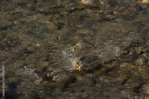 Closeup of a river in South France, flows between stones. Forms bubbles.
