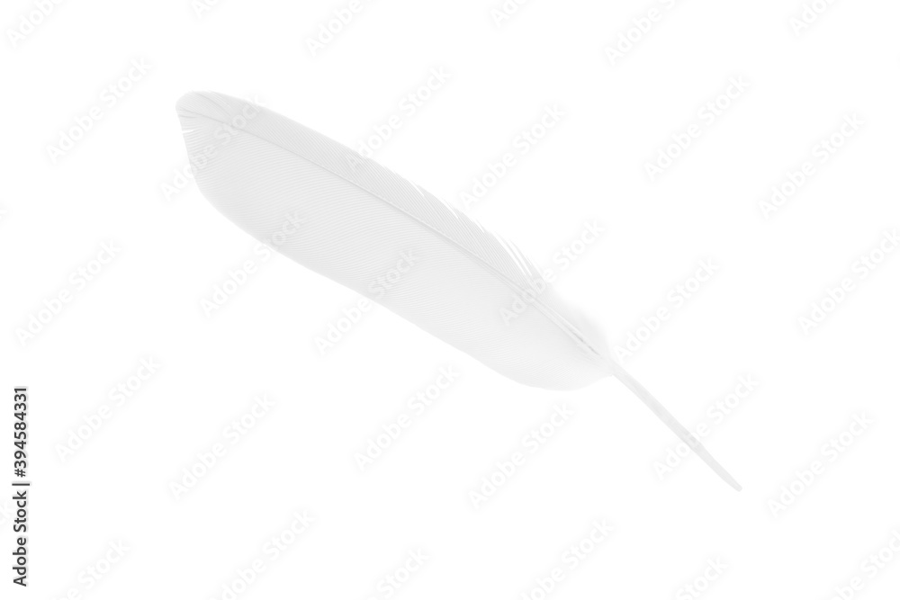 Beautiful sketching white feather  isolated on white  background