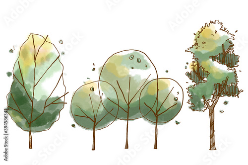 Big trees elevation in watercolor painting vector illustration for architectural landscape or presentation .