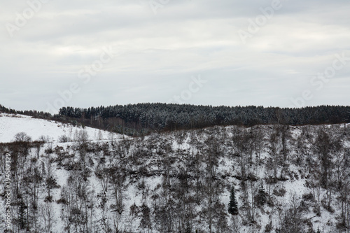 Winter landscape. Snow-capped mountains with rare trees and evergreen conifers on a cloudy day.