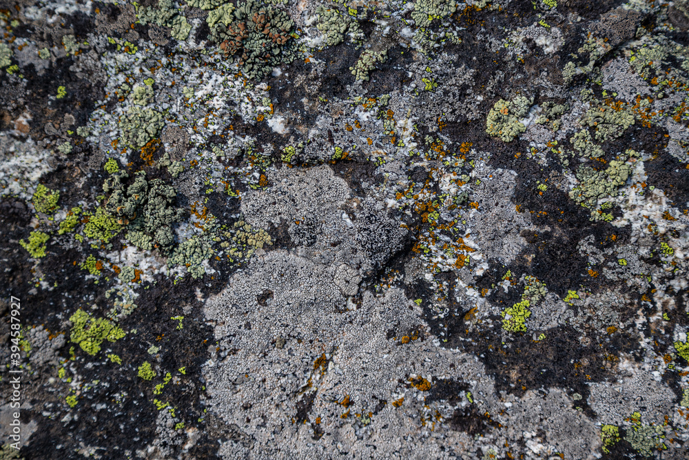 Obraz premium The texture of a stone wall, flooring, concrete destruction, metal corrosion and rusty antiquity, the basis of construction reinforcement and ceilings, paint chips