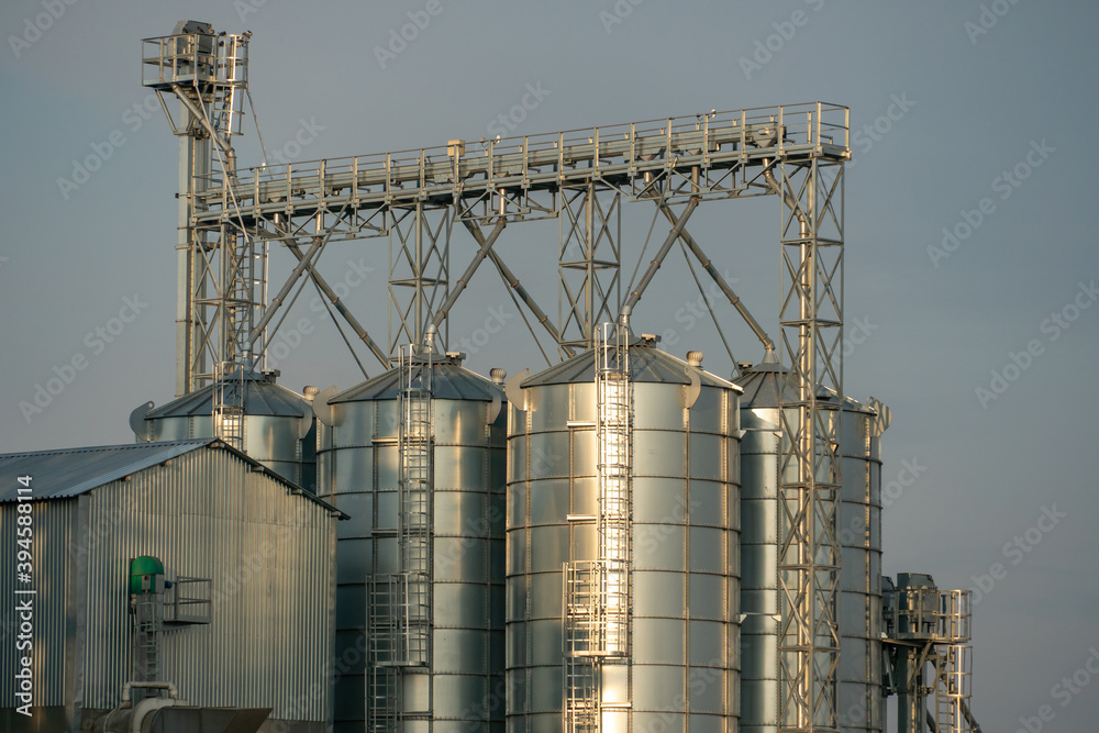 silver silos on agro manufacturing plant for processing drying cleaning and storage of agricultural products, flour, cereals and grain. Large iron barrels of grain. Granary elevator silver silos on agro manufacturing plant for processing drying cleaning and storage of agricultural products, flour, cereals and grain. Large iron barrels of grain. Granary elevator