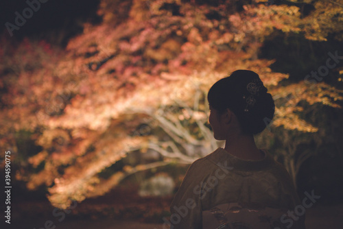 京都「南禅寺」紅葉ライトアップ 女性着物 古き良き日本