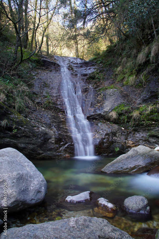 Fototapeta premium waterfall in the forest