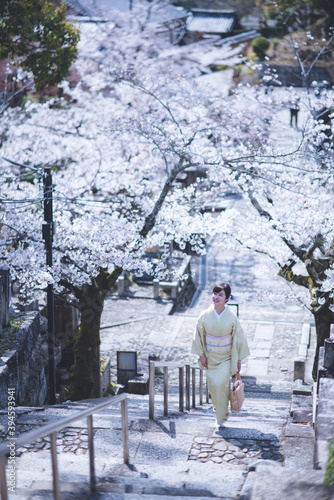 京都の春 金戒光明寺の桜 着物ポートレート 日本人女性