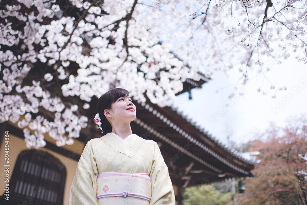 京都の春 南禅寺の桜 着物ポートレート 日本人女性 京都の春 南禅寺の桜 着物ポートレート 日本人女性