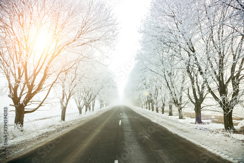 Winter landscape road and frozen trees alley