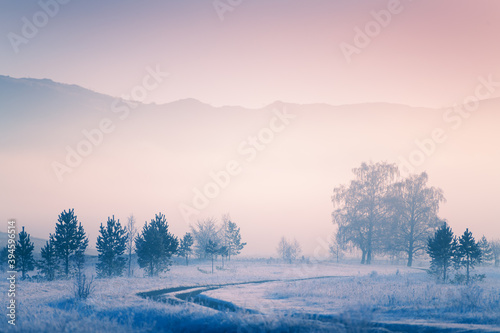 Misty sunrise in the winter forest. Trees with hoarfrost in the foggy morning. Beautiful winter landscape. South Ural, Russia