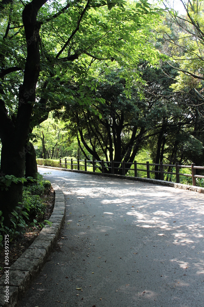 夜宮公園の小道①