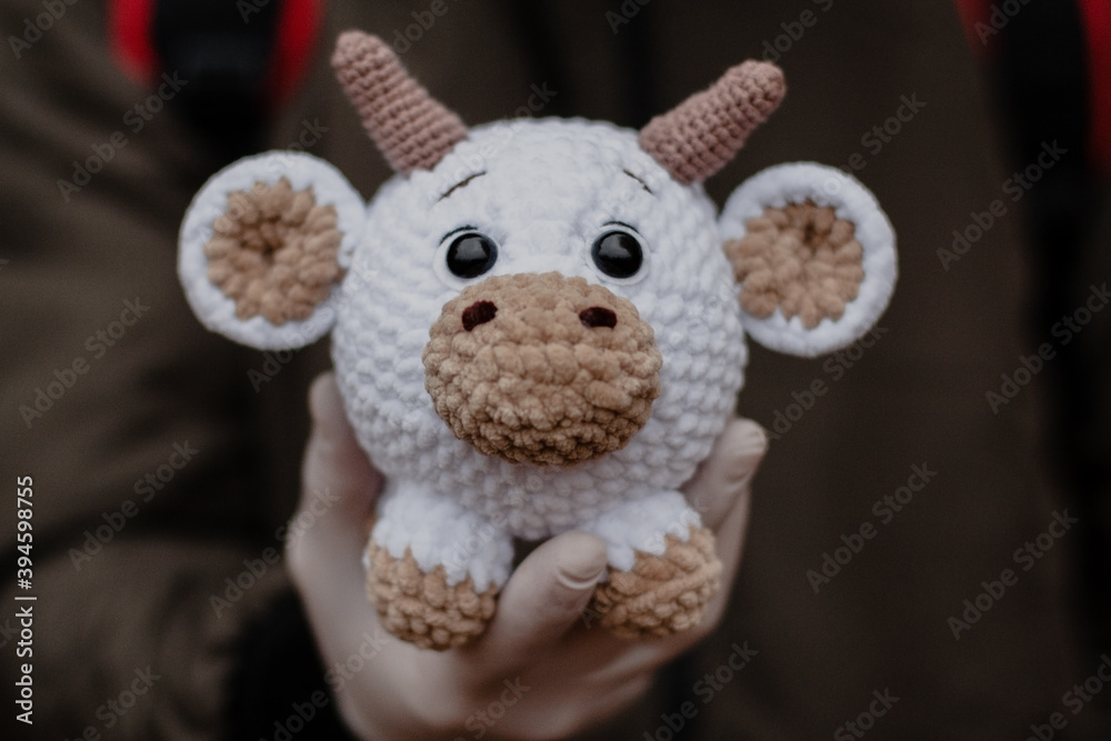 White knitted toy bull on a hand in medical gloves, New Year's card. New Year and Christmas during the coronavirus pandemic. Ox as symbol of the Chinese New Year. White knitted toy bull on a hand in medical gloves, New Year's card. New Year and Christmas during the coronavirus pandemic. Ox as symbol of the Chinese New Year.