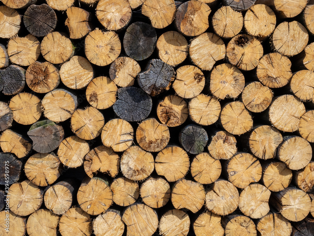 pile stacked natural sawn wooden logs background, top view pile stacked natural sawn wooden logs background, top view