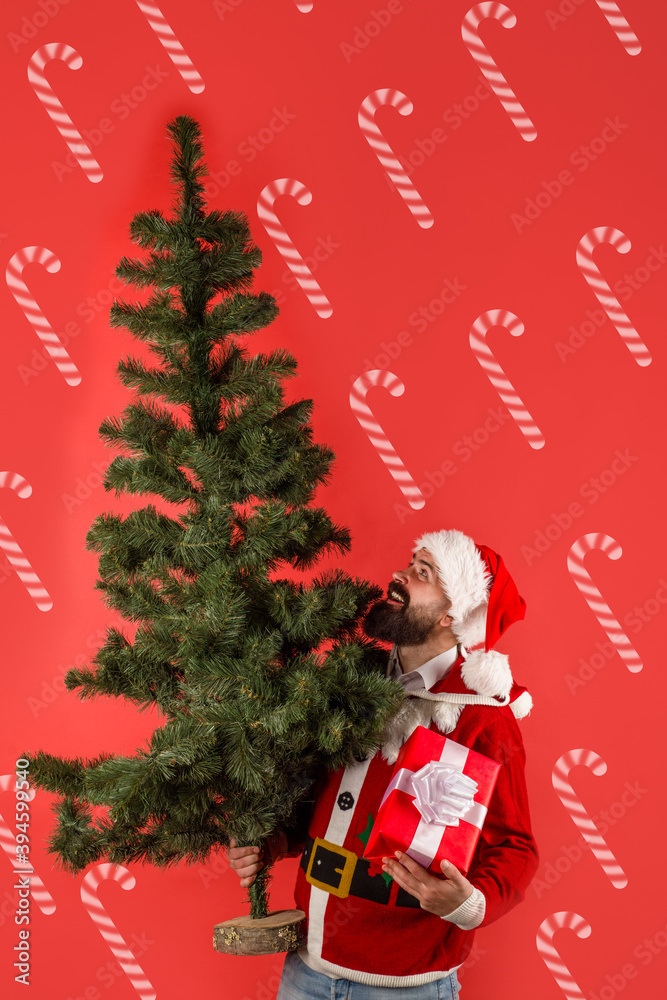 Santa with Christmas tree. Santa man with fir-tree. Winter holidays. Merry Christmas. Happy New Year. Santa man hold christmas tree.