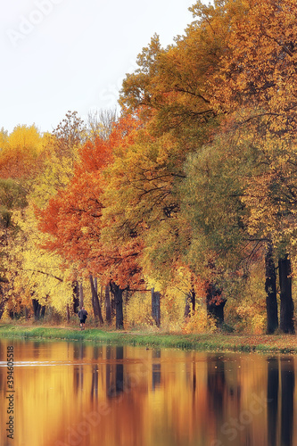 landscape forest sunny autumn day / yellow trees in the landscape Indian summer autumn October