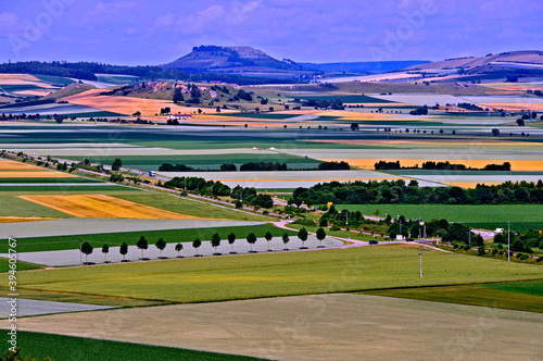 Campo cultivado em area rural. Nordlingen. Alemanha. Europa photo