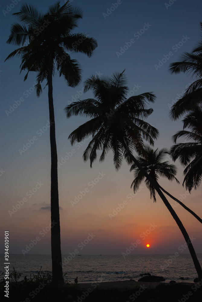 Sunset between palm trees at Cola beach, Goa, India