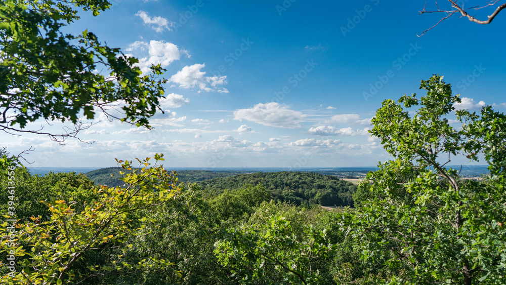 View from the top of the rock wall of the Stenzelberg over the wooded area far to Cologne.