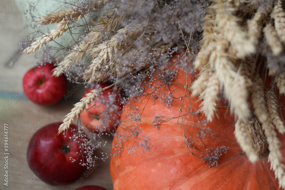 Autumn food frame with apple fruit and pumpkin on wooden background. Great top view. Florist shop. Garden. Great Country Farm.